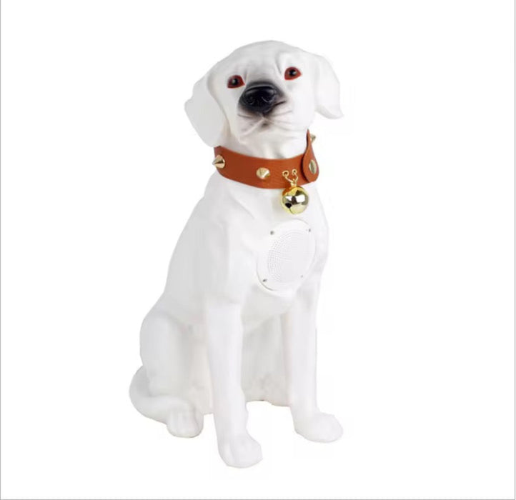 White dog wearing a brown leather collar with gold bells on a white background