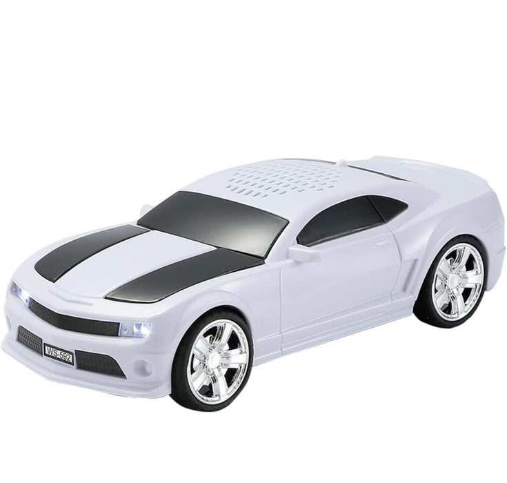 WSTER WS-592 Wireless Car Speaker with TF/USB/FM Radio – 5W Output