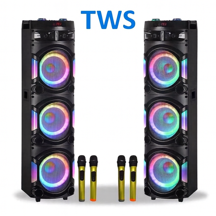 MT-1213 12” 3-Way Wireless Party Speaker with Dual Microphones & LED Lights