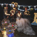 Wedding couple with sparklers spelling 'LOVE' at night.