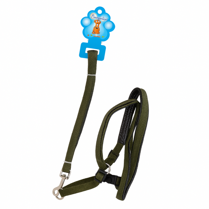 Green dog leash with a blue tag on a white background