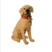 Dog figurine with a brown collar and bells on a white background