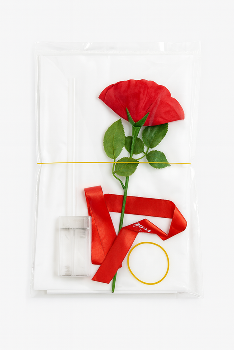 Red rose with green leaves and red ribbon on a white background