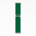 Green watch strap with silver hardware on a white background